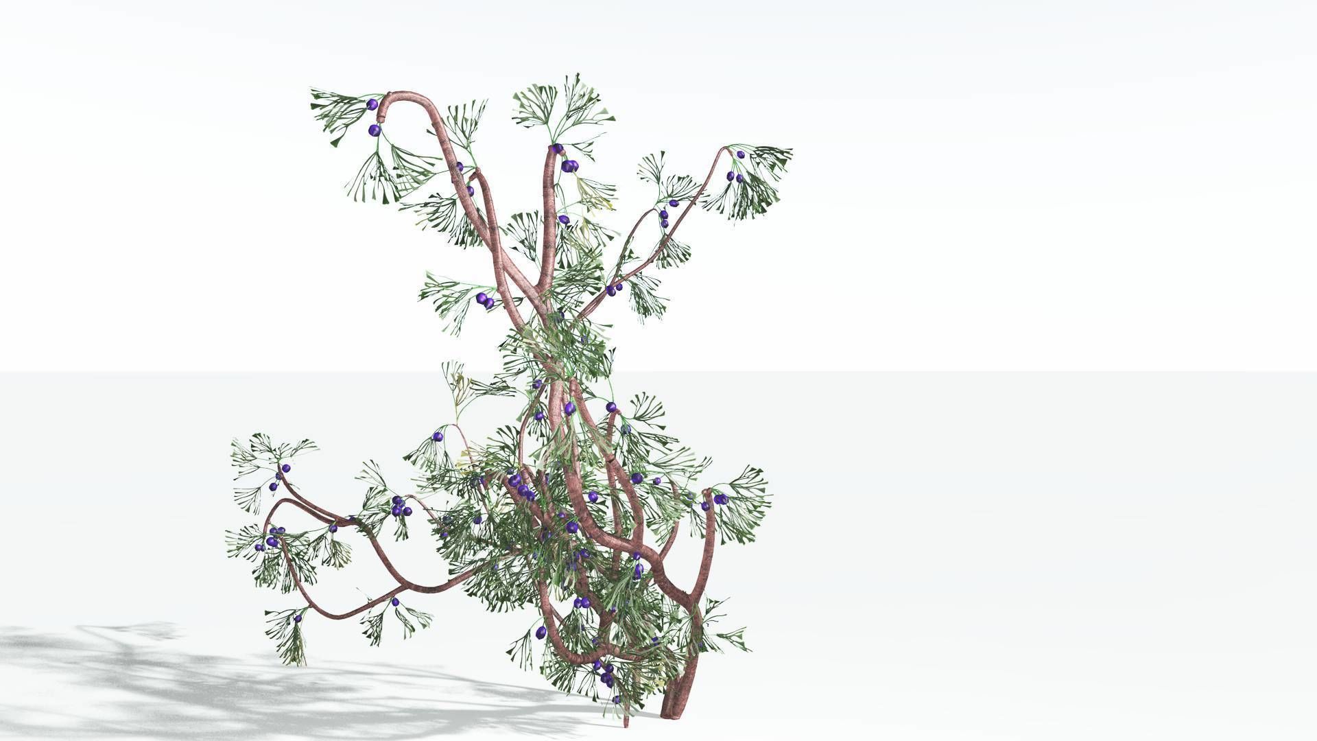 EVERYPlant Baiera 3 --14 Models-- 3D model_23