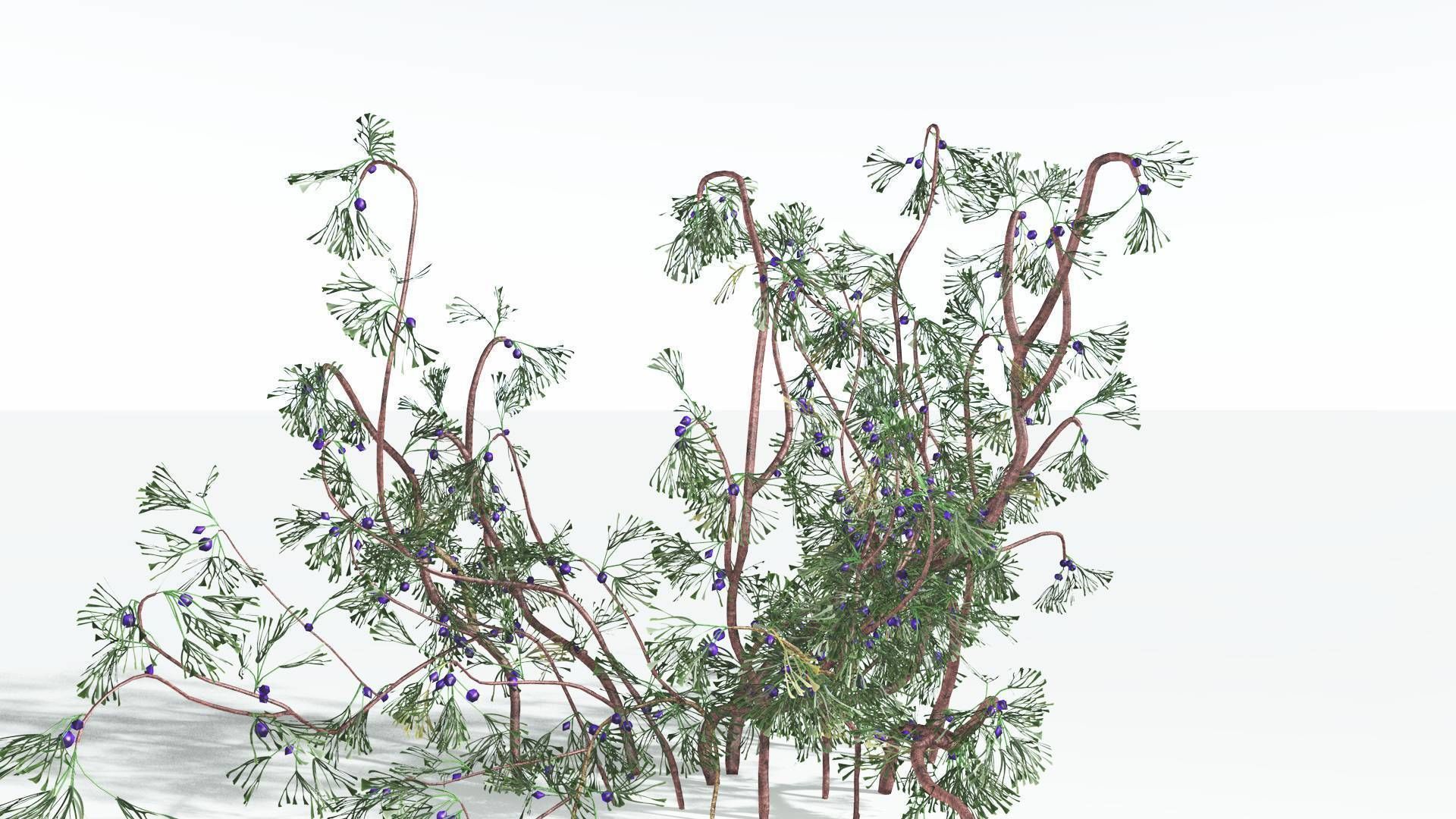 EVERYPlant Baiera 3 --14 Models-- 3D model_25