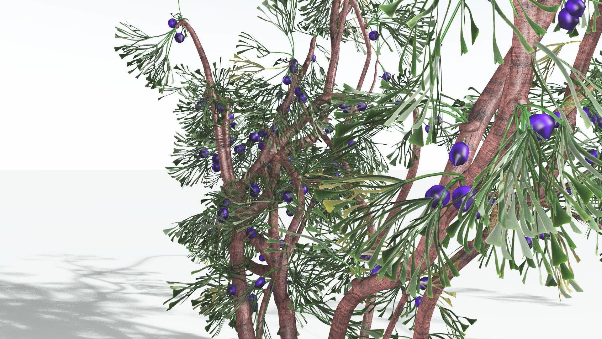 EVERYPlant Baiera 3 --14 Models-- 3D model_14