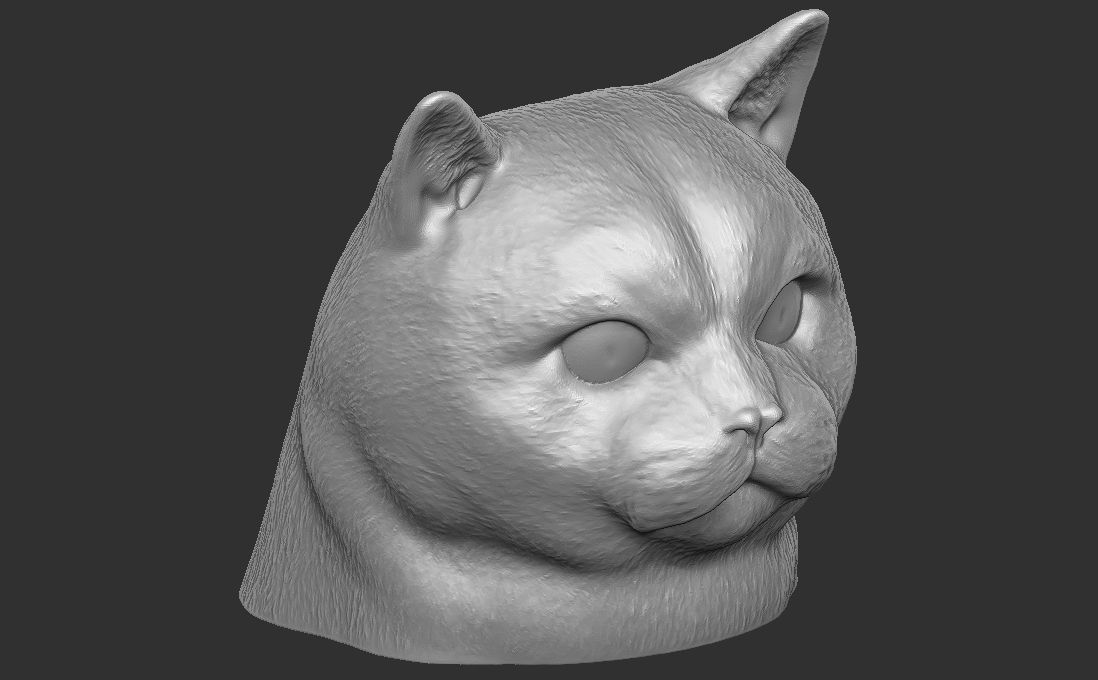 British Shorthair cat head for 3D printing 3D print model_21