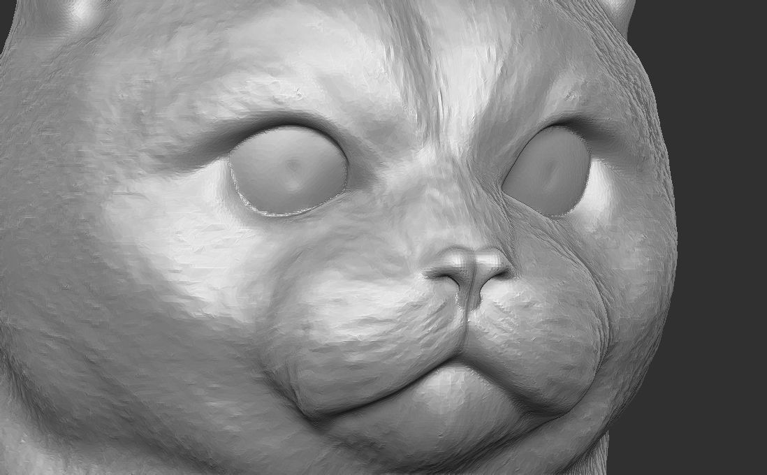 British Shorthair cat head for 3D printing 3D print model_15