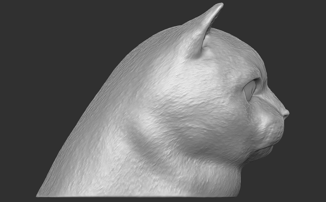 British Shorthair cat head for 3D printing 3D print model_8