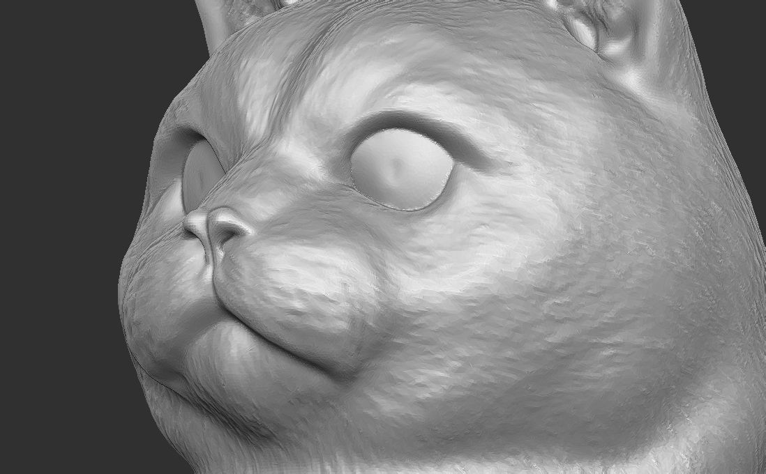 British Shorthair cat head for 3D printing 3D print model_16