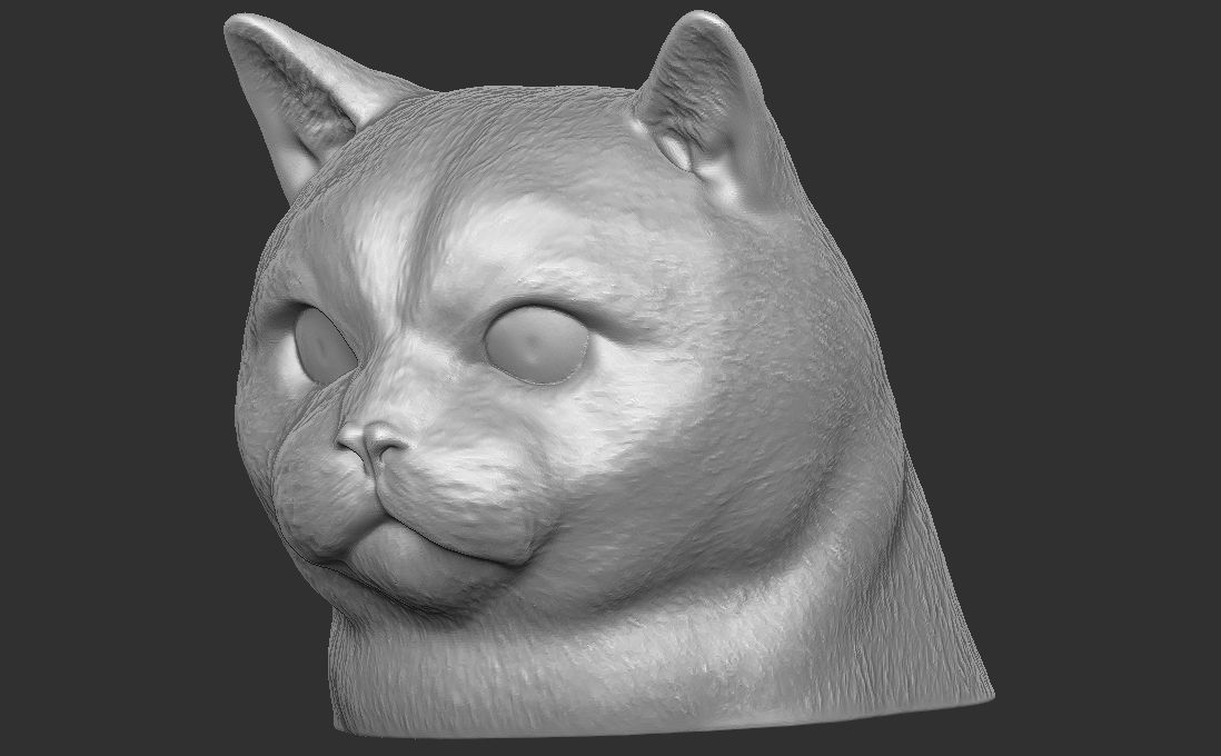 British Shorthair cat head for 3D printing 3D print model_14