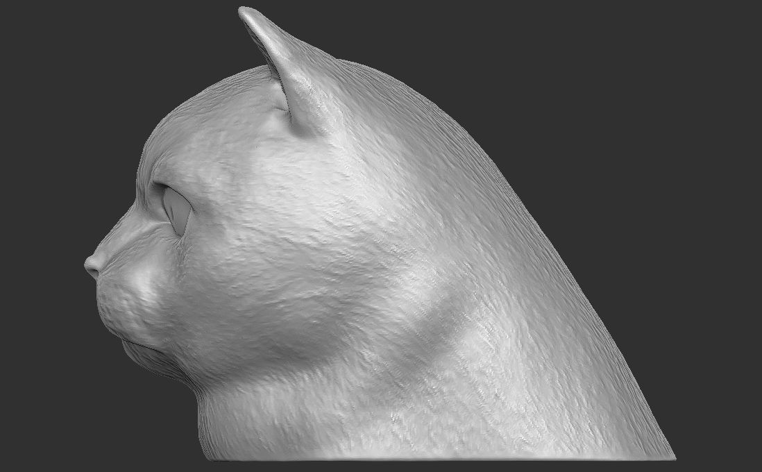 British Shorthair cat head for 3D printing 3D print model_12