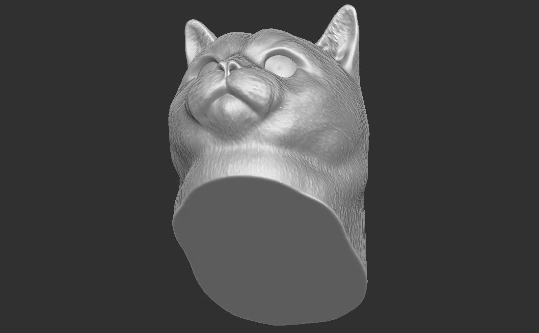 British Shorthair cat head for 3D printing 3D print model_19