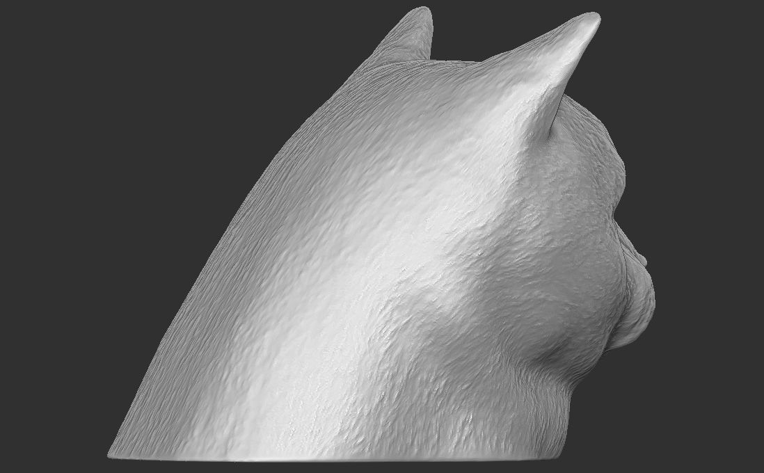 British Shorthair cat head for 3D printing 3D print model_9
