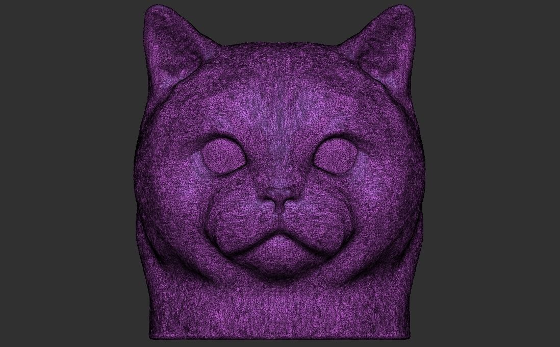 British Shorthair cat head for 3D printing 3D print model_23