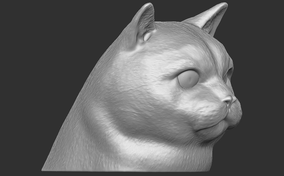 British Shorthair cat head for 3D printing 3D print model_7