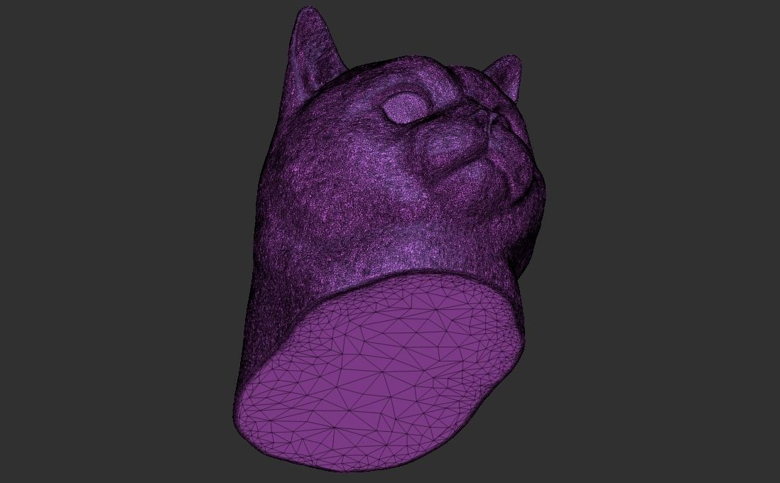 British Shorthair cat head for 3D printing 3D print model_25