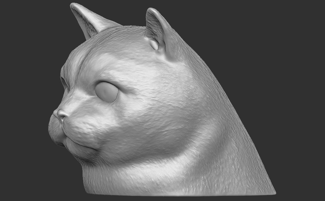 British Shorthair cat head for 3D printing 3D print model_13