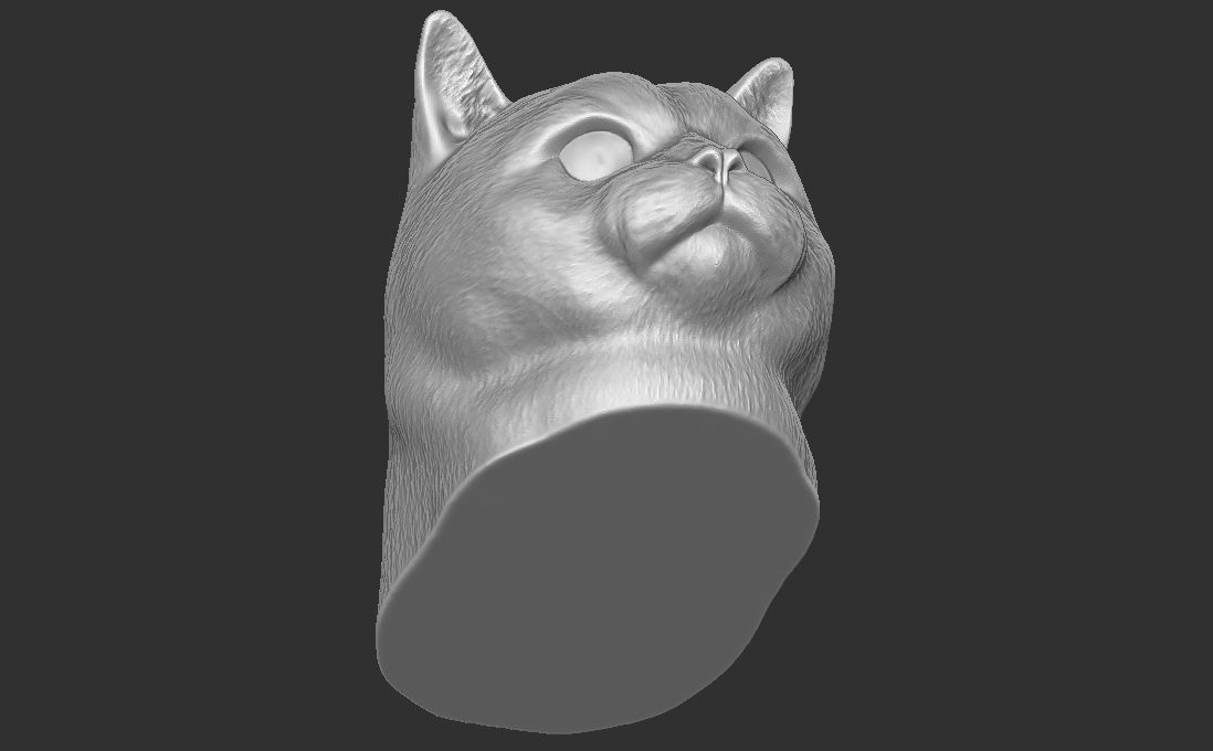 British Shorthair cat head for 3D printing 3D print model_18