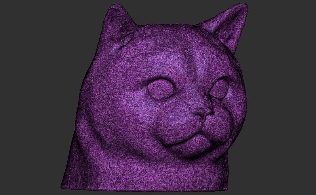British Shorthair cat head for 3D printing 3D print model_24