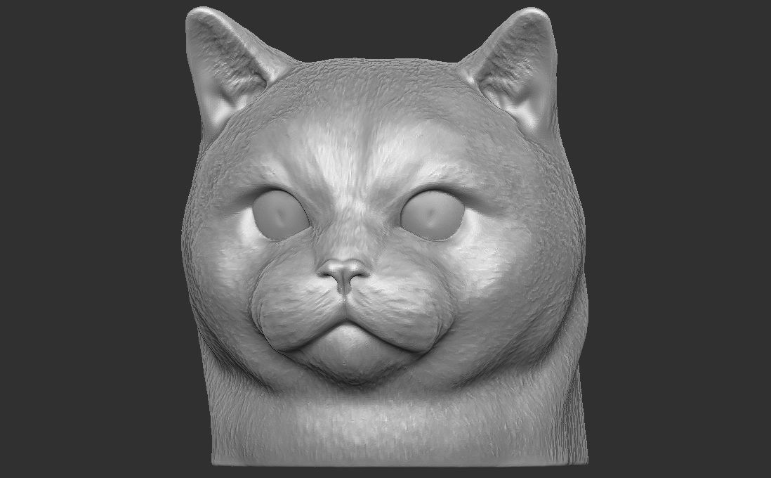 British Shorthair cat head for 3D printing 3D print model_3