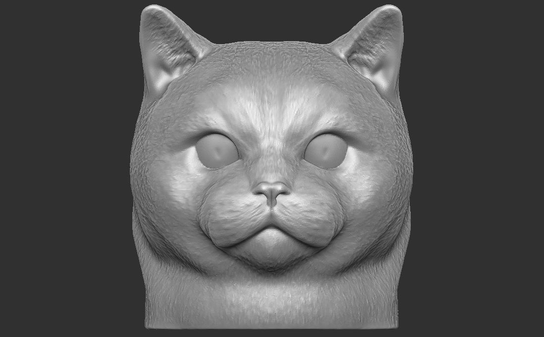 British Shorthair cat head for 3D printing 3D print model_4