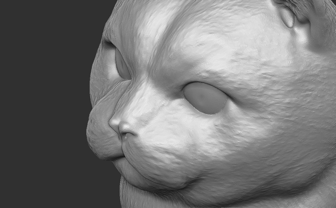 British Shorthair cat head for 3D printing 3D print model_17