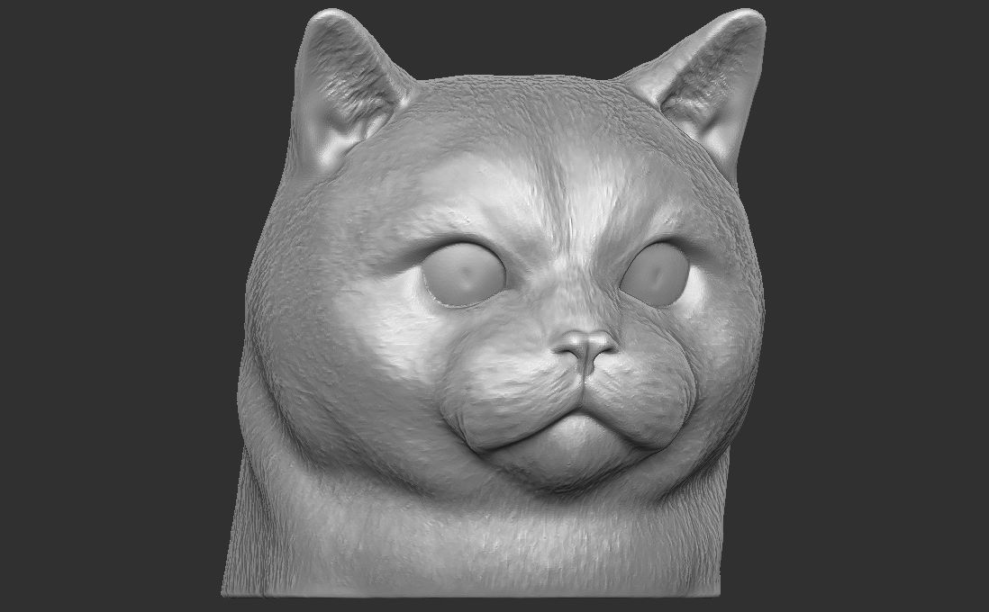 British Shorthair cat head for 3D printing 3D print model_5