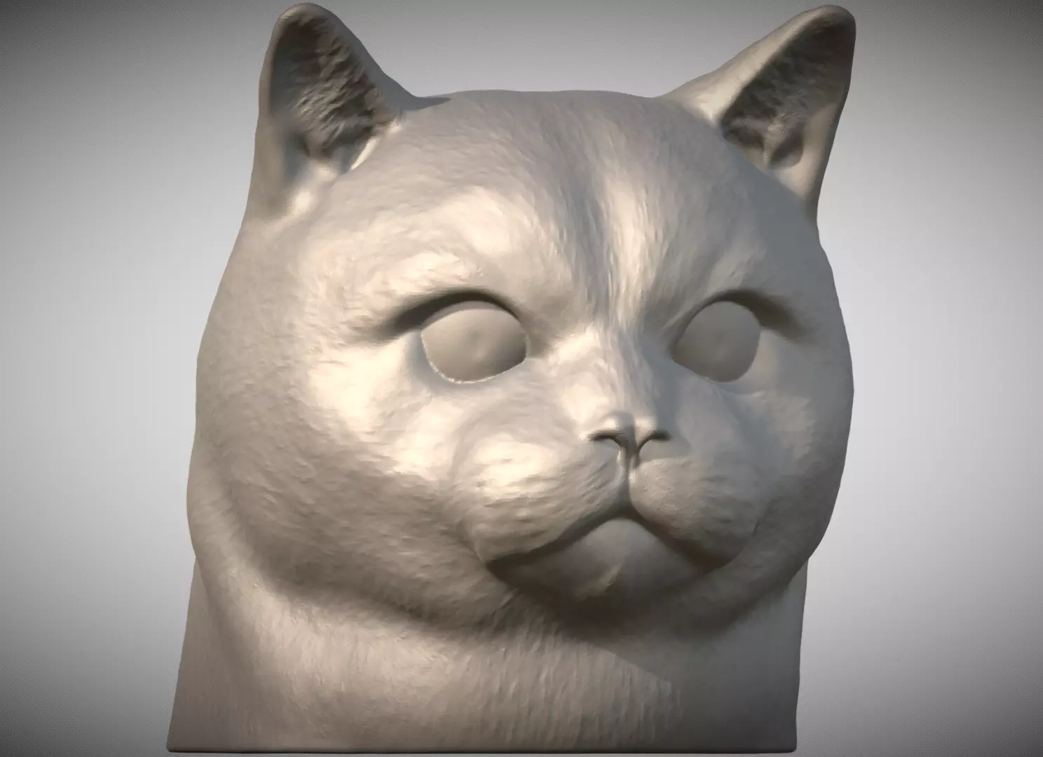 British Shorthair cat head for 3D printing 3D print model_0