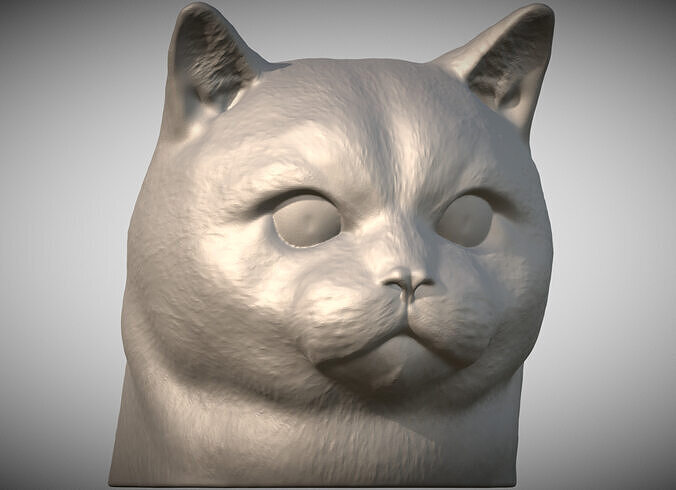 British Shorthair cat head for 3D printing 3D print model