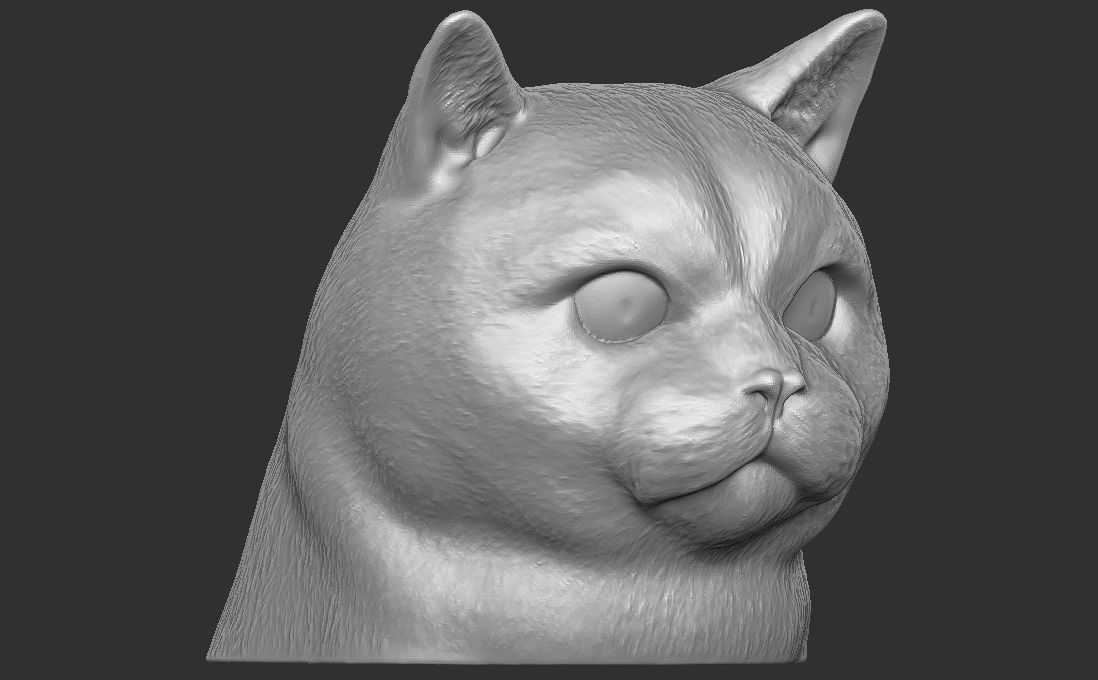 British Shorthair cat head for 3D printing 3D print model_6