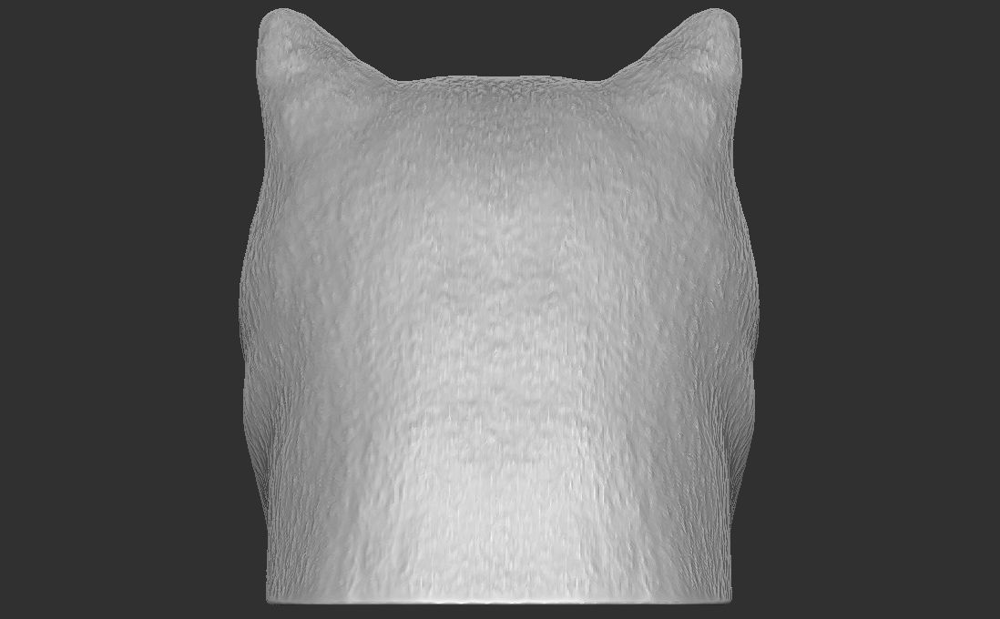 British Shorthair cat head for 3D printing 3D print model_10