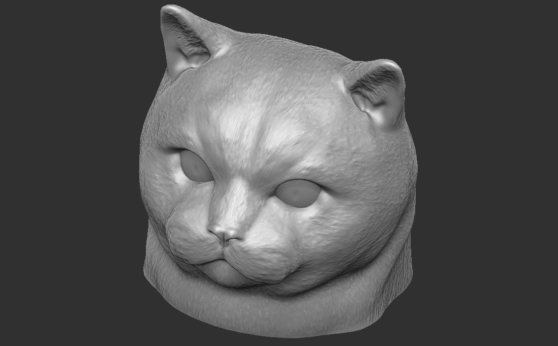 British Shorthair cat head for 3D printing 3D print model_20