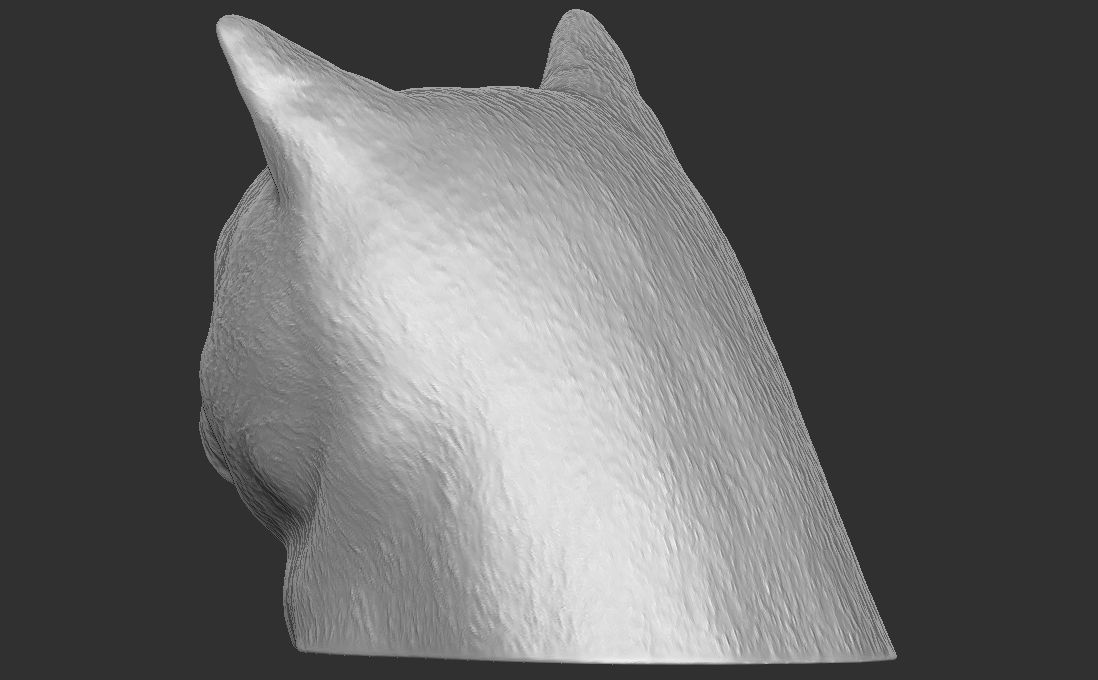British Shorthair cat head for 3D printing 3D print model_11