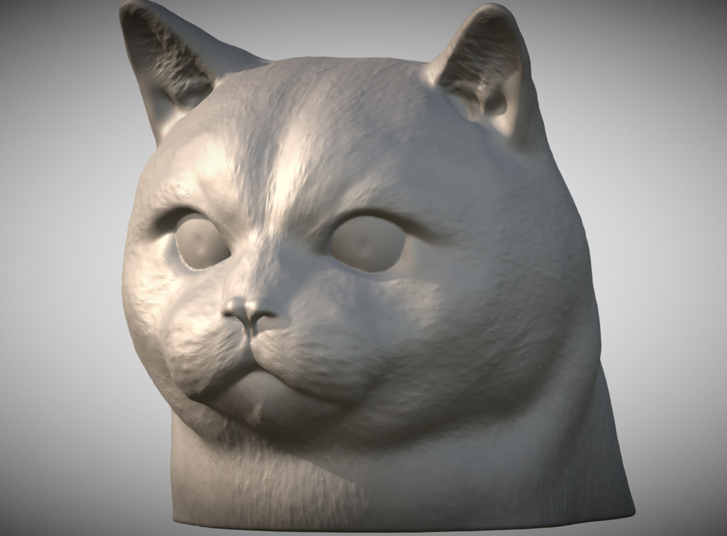 British Shorthair cat head for 3D printing 3D print model_1