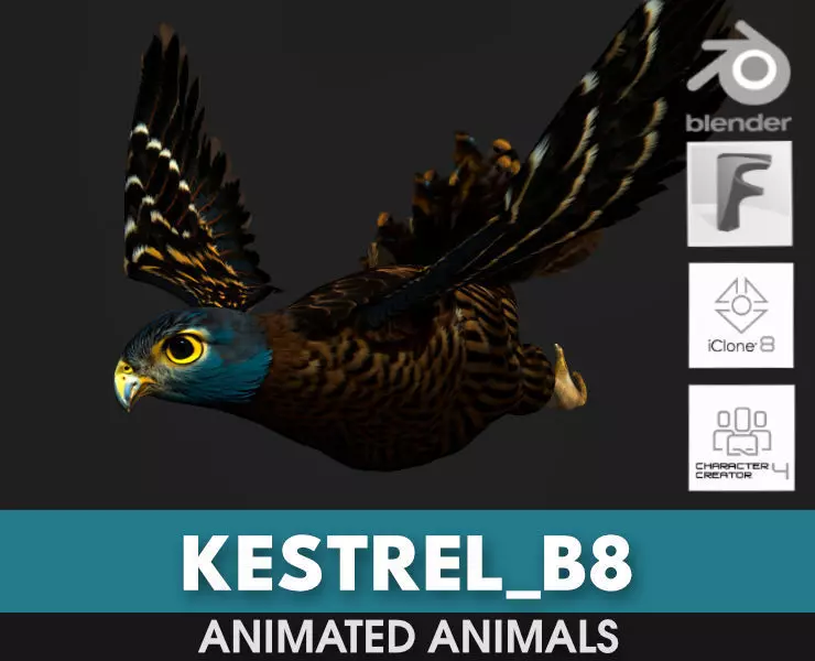 Kestrel B8 Low-poly 3D model_0