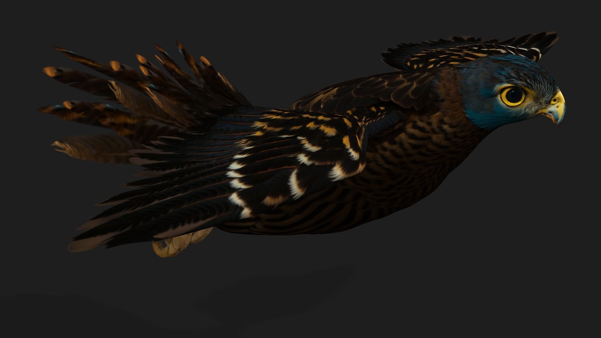 Kestrel B8 Low-poly 3D model_11