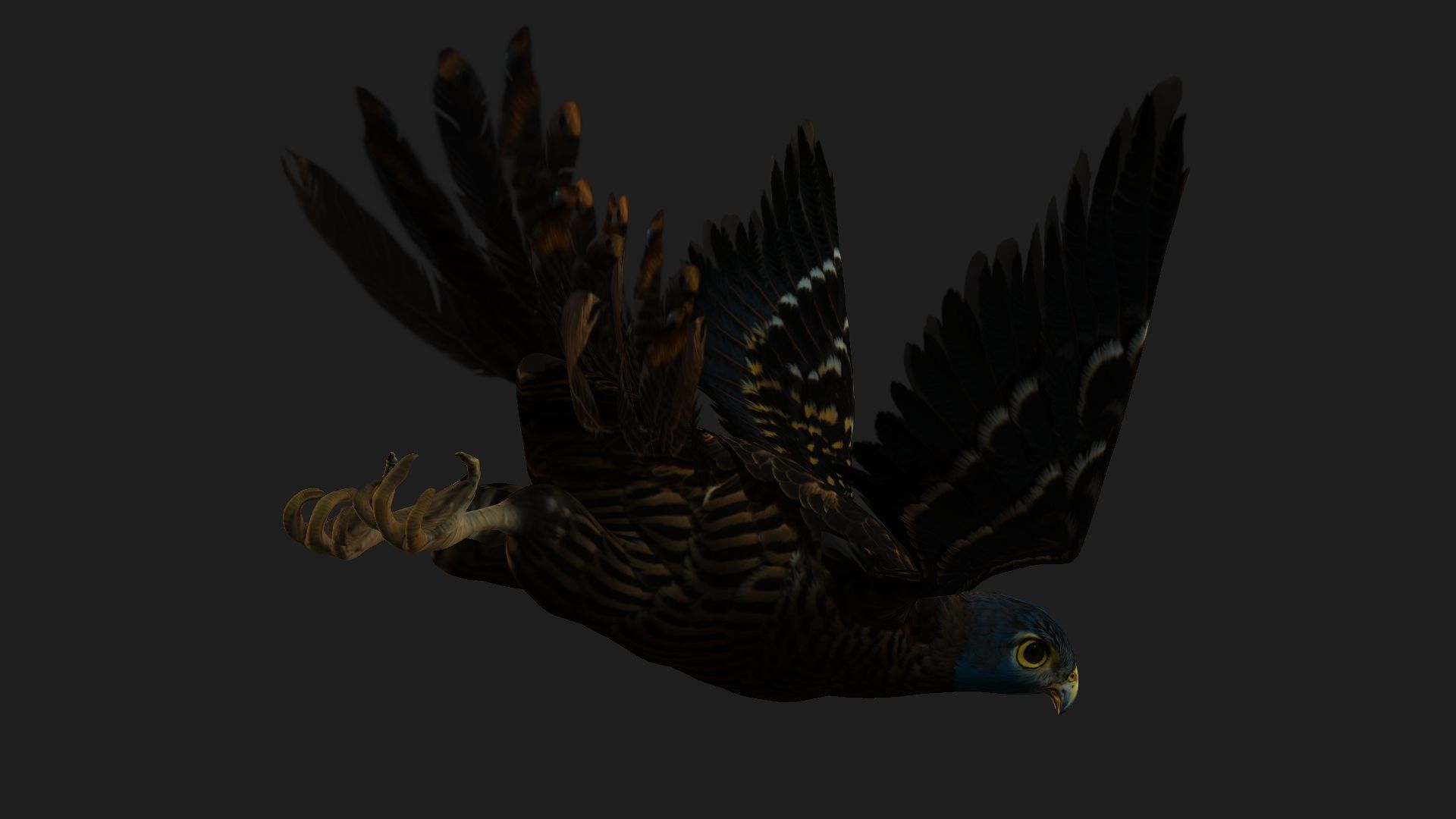 Kestrel B8 Low-poly 3D model_14