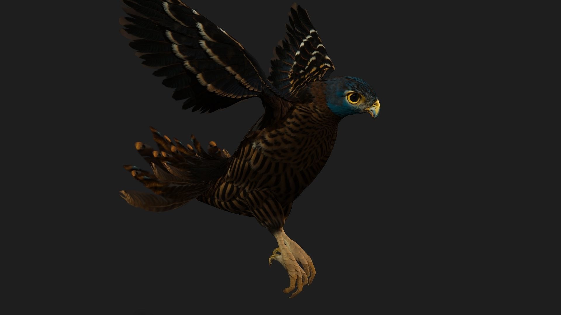 Kestrel B8 Low-poly 3D model_16