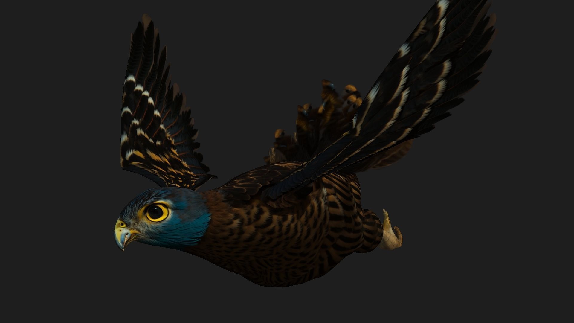 Kestrel B8 Low-poly 3D model_15