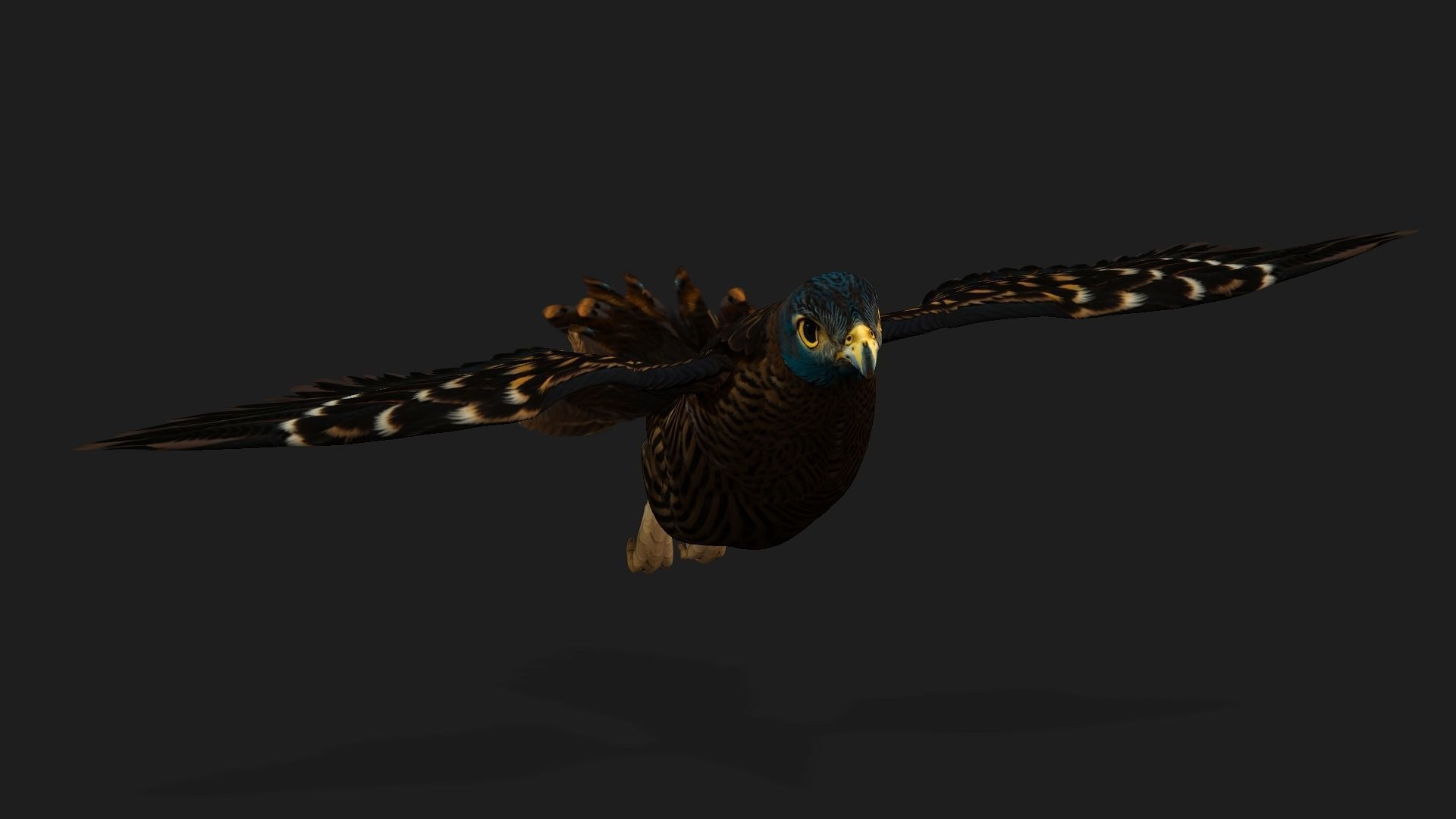 Kestrel B8 Low-poly 3D model_9