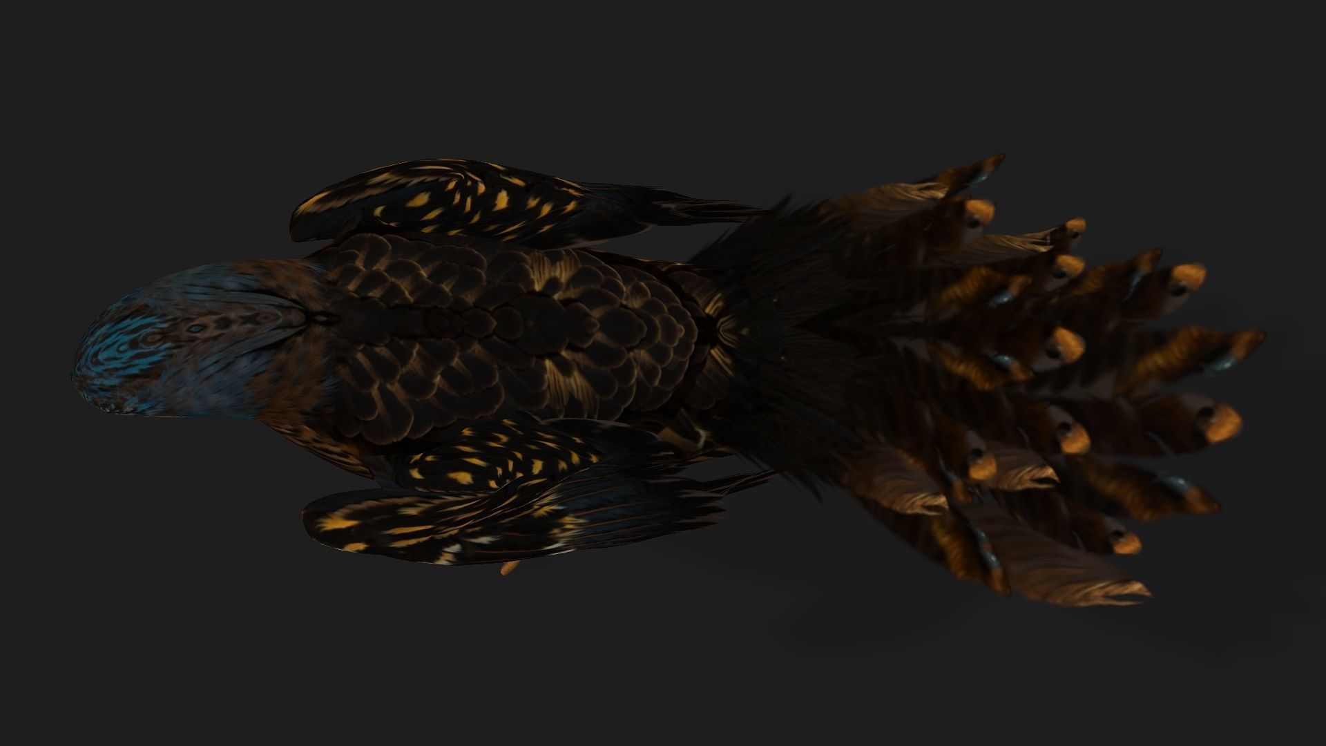 Kestrel B8 Low-poly 3D model_4