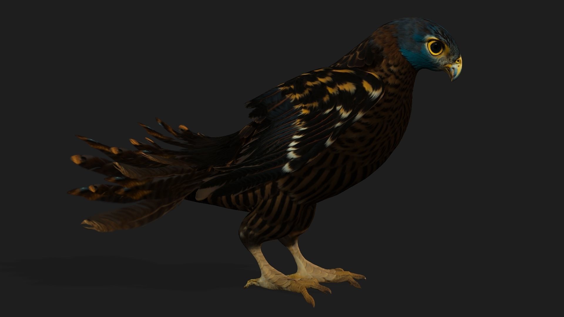 Kestrel B8 Low-poly 3D model_2