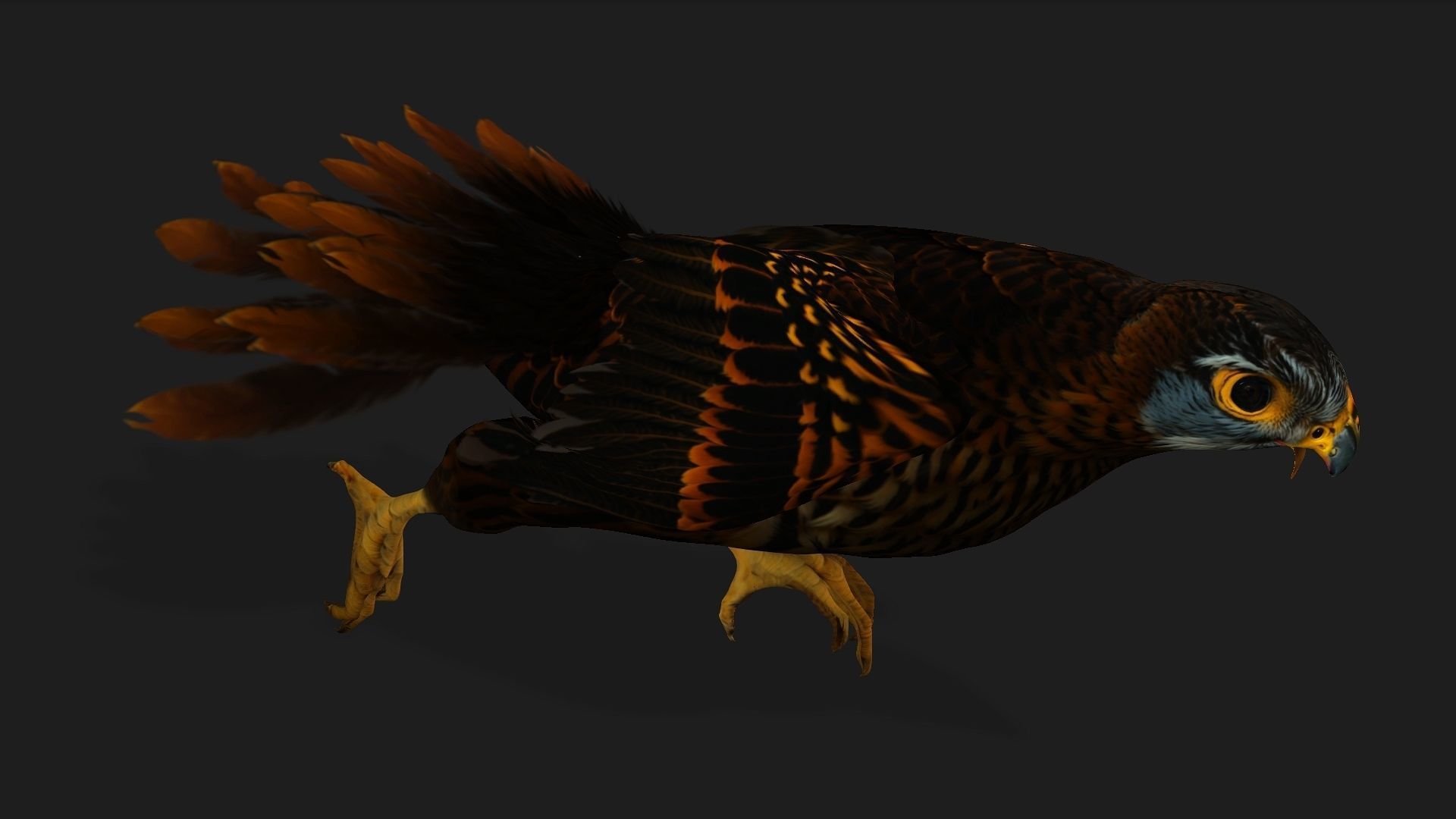 Kestrel B9 Low-poly 3D model_15