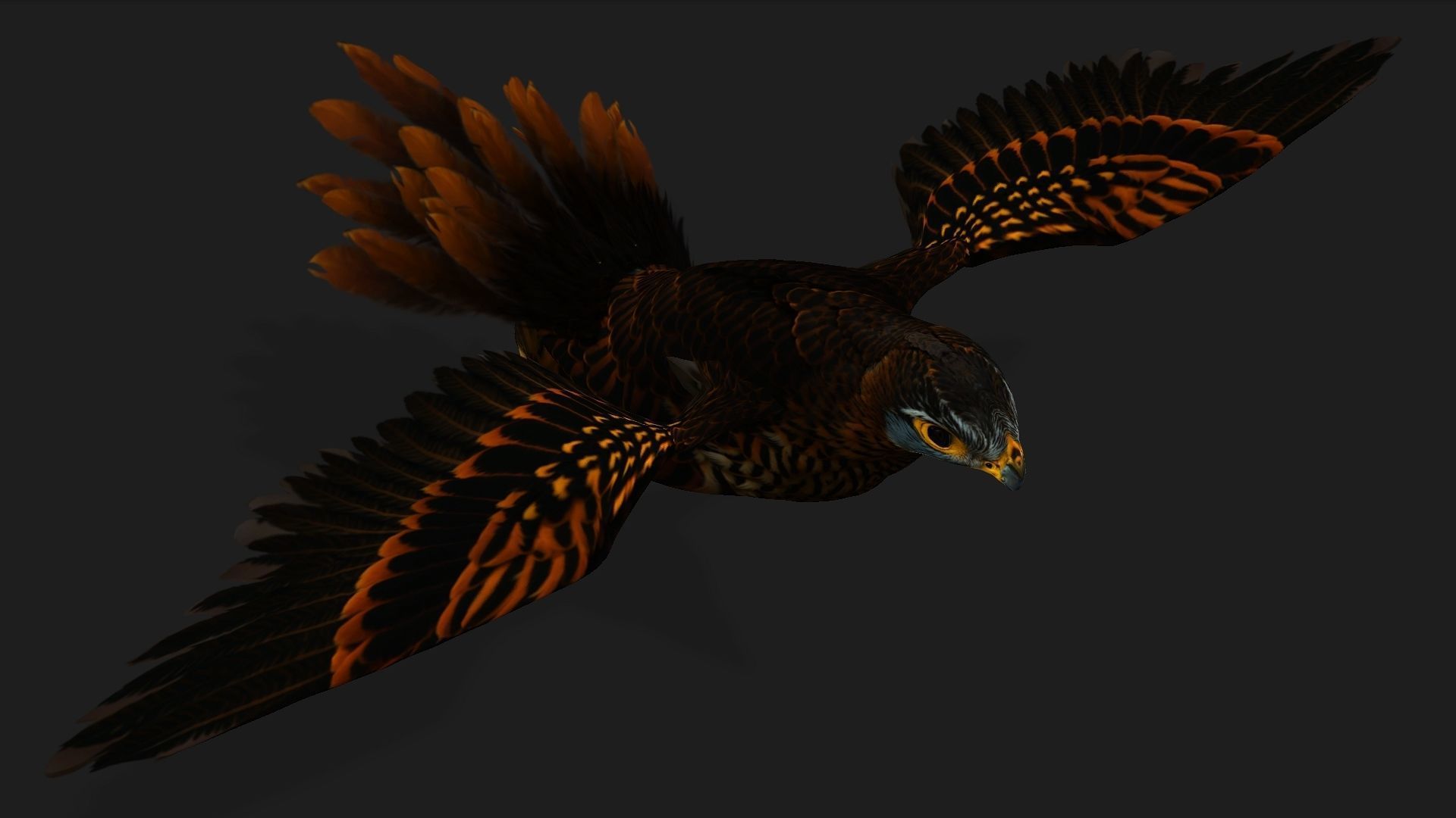 Kestrel B9 Low-poly 3D model_10