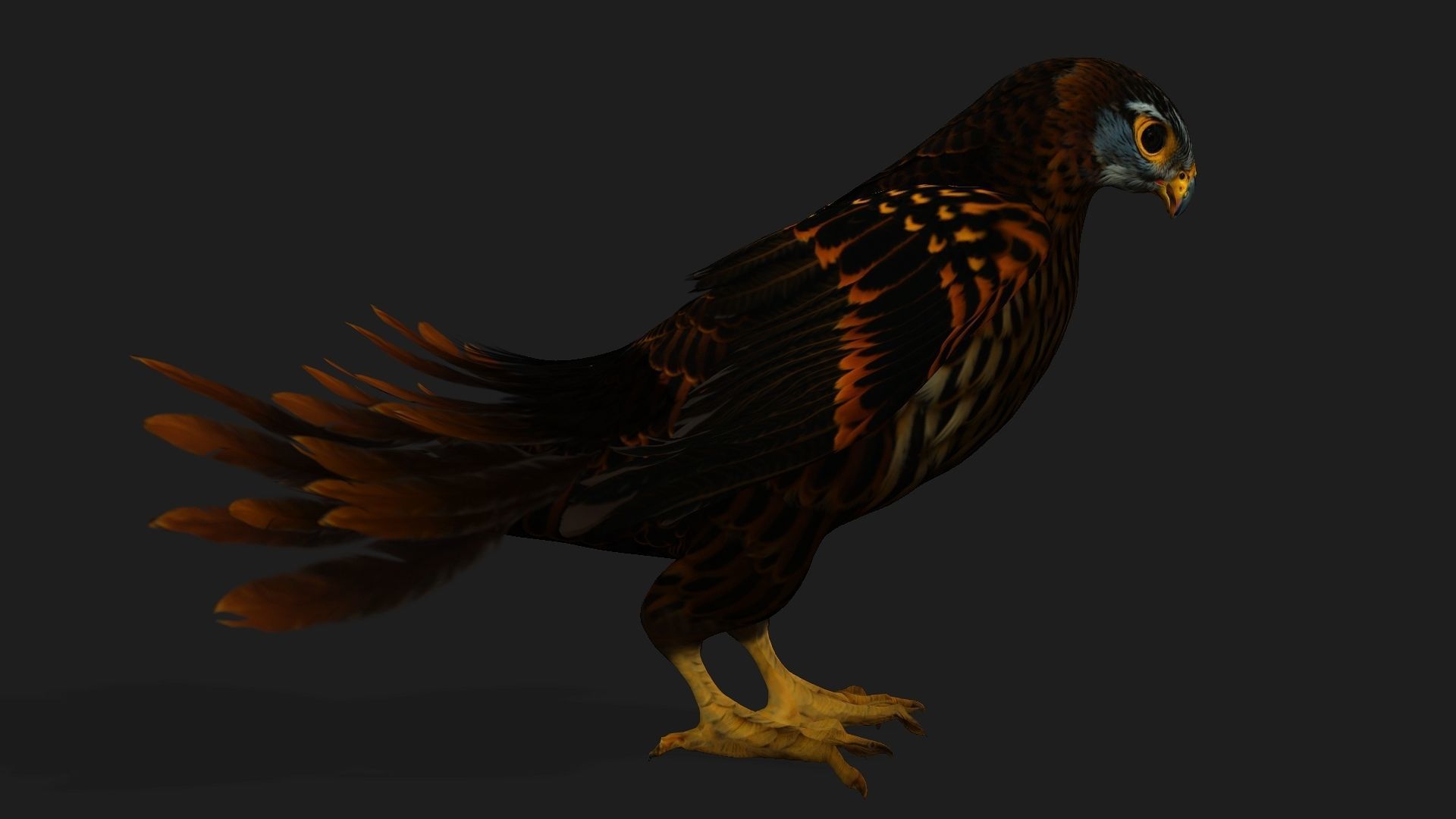 Kestrel B9 Low-poly 3D model_2