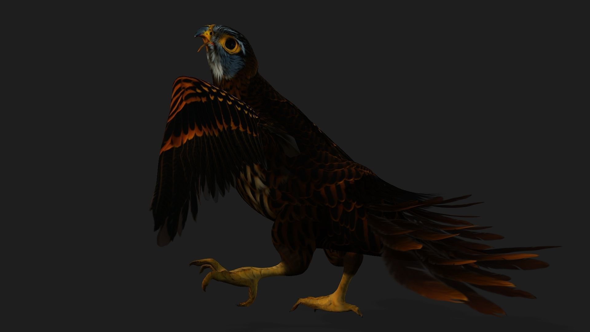 Kestrel B9 Low-poly 3D model_7