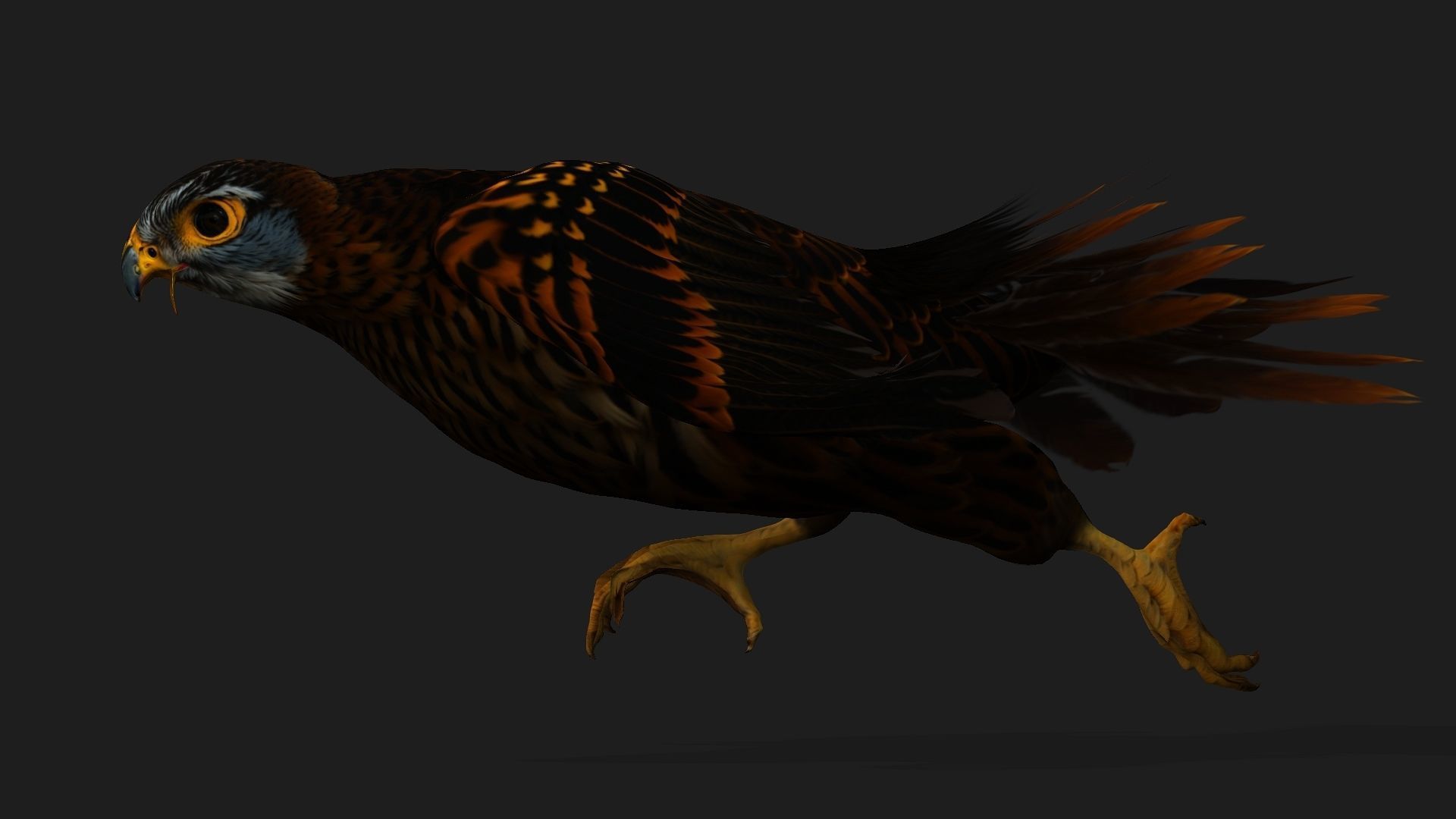 Kestrel B9 Low-poly 3D model_14