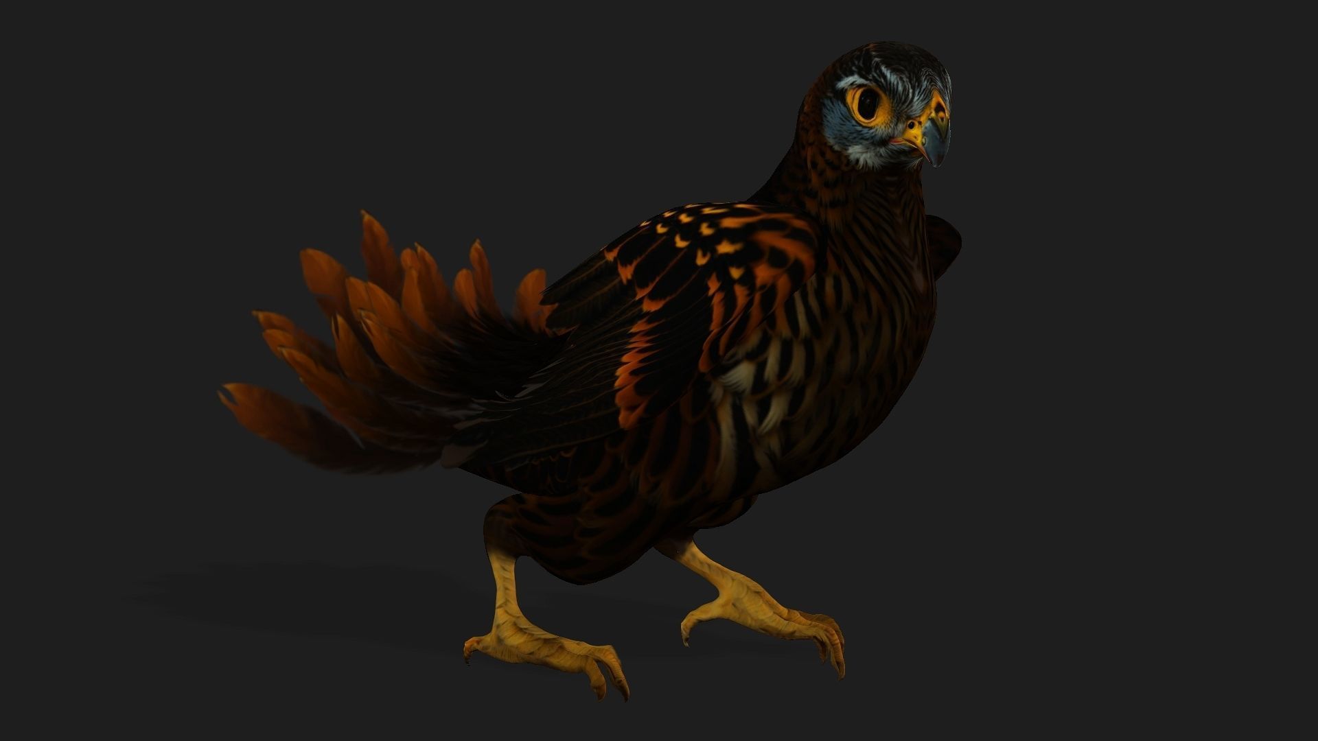 Kestrel B9 Low-poly 3D model_16