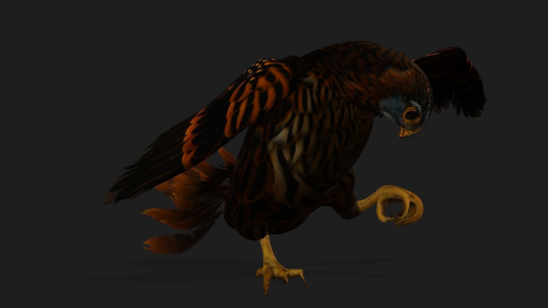 Kestrel B9 Low-poly 3D model_6