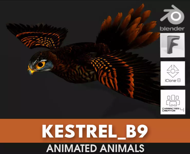 Kestrel B9 Low-poly 3D model_0