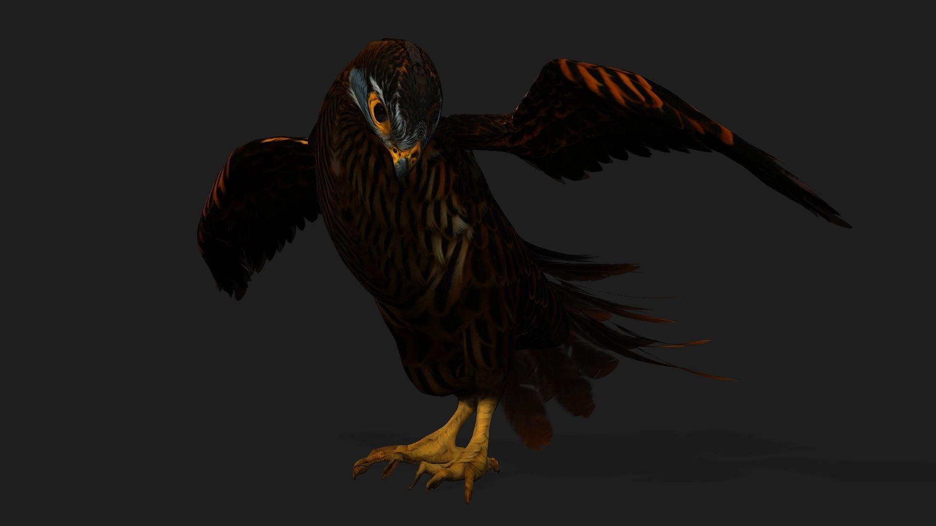 Kestrel B9 Low-poly 3D model_5