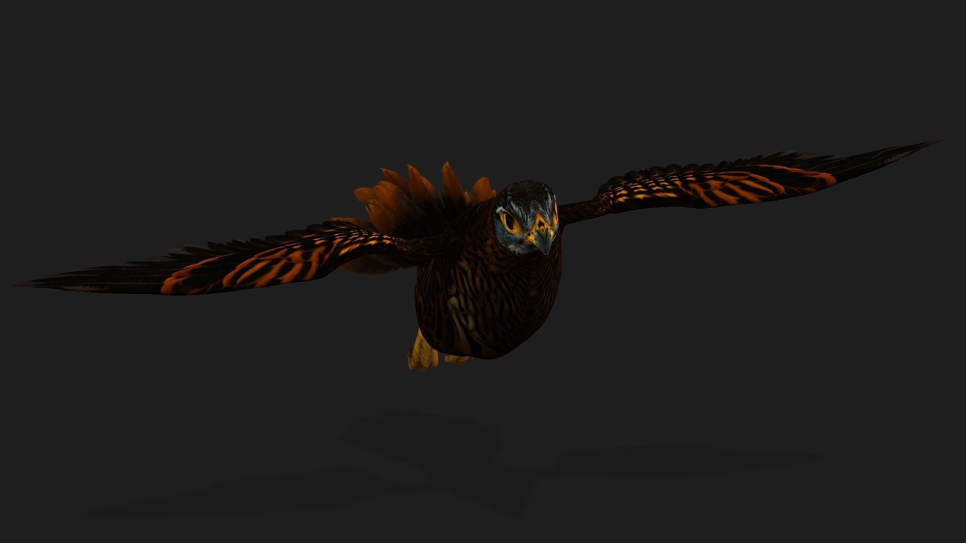 Kestrel B9 Low-poly 3D model_9