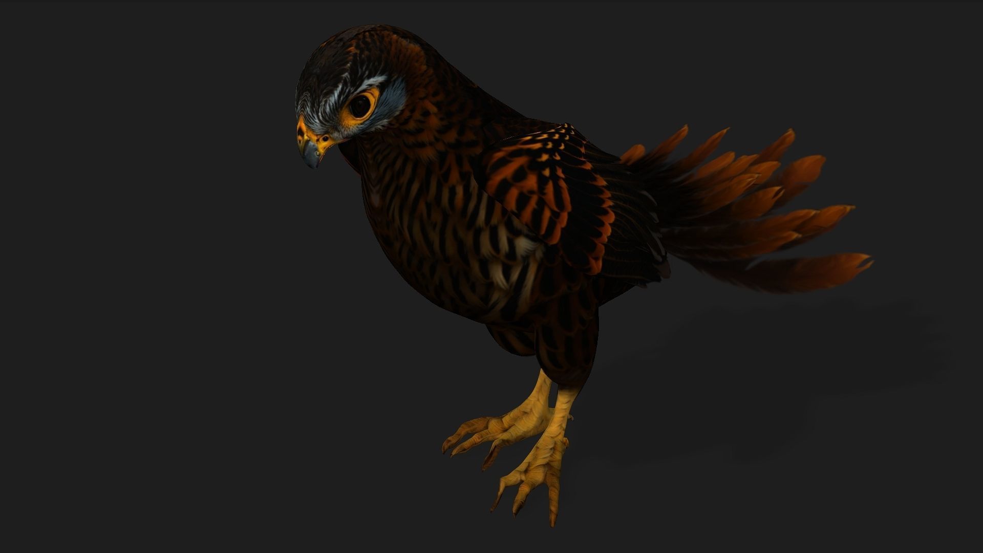 Kestrel B9 Low-poly 3D model_3