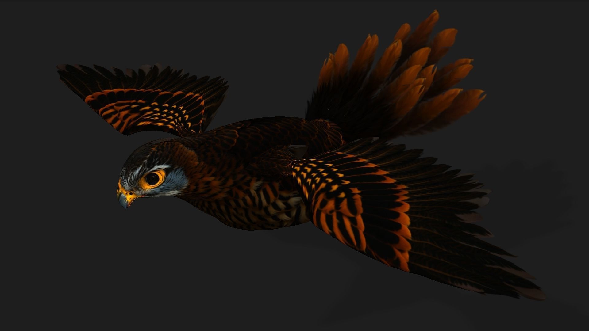 Kestrel B9 Low-poly 3D model_8