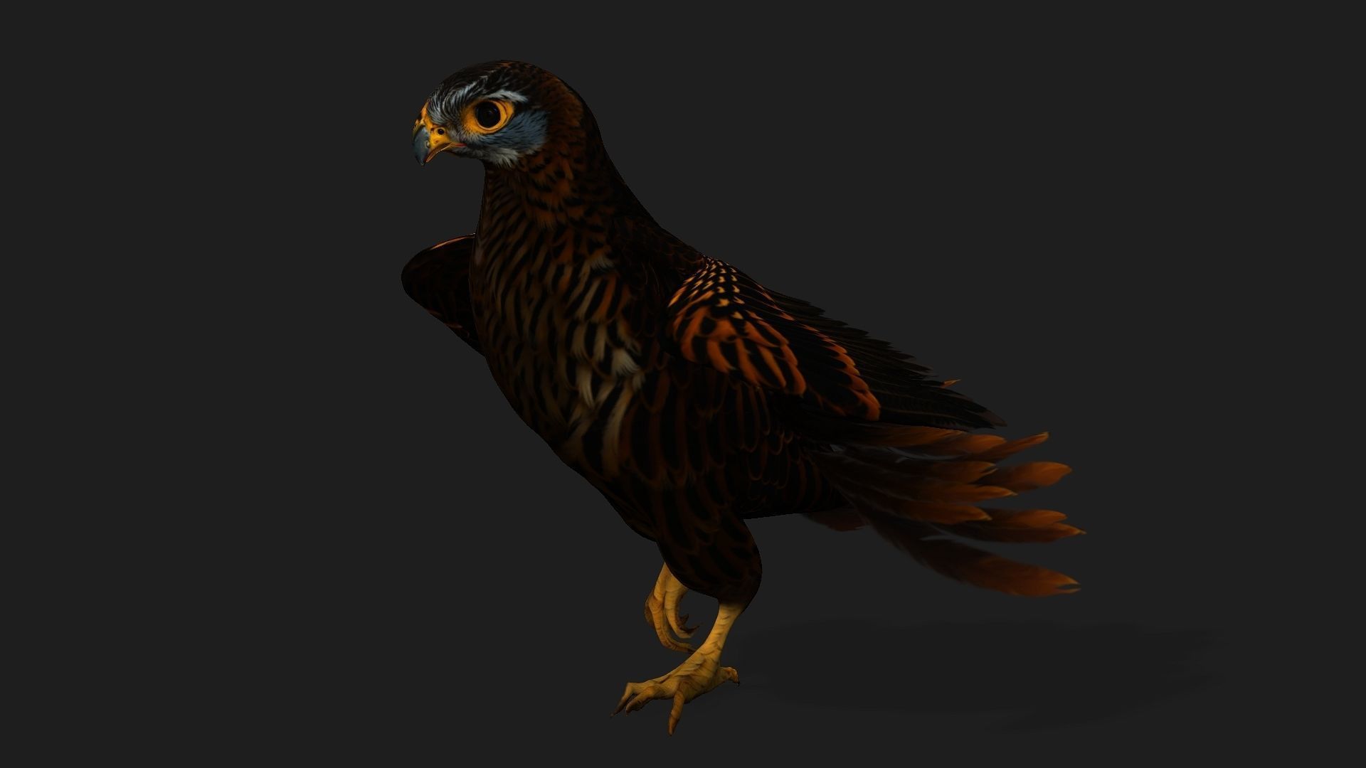 Kestrel B9 Low-poly 3D model_11