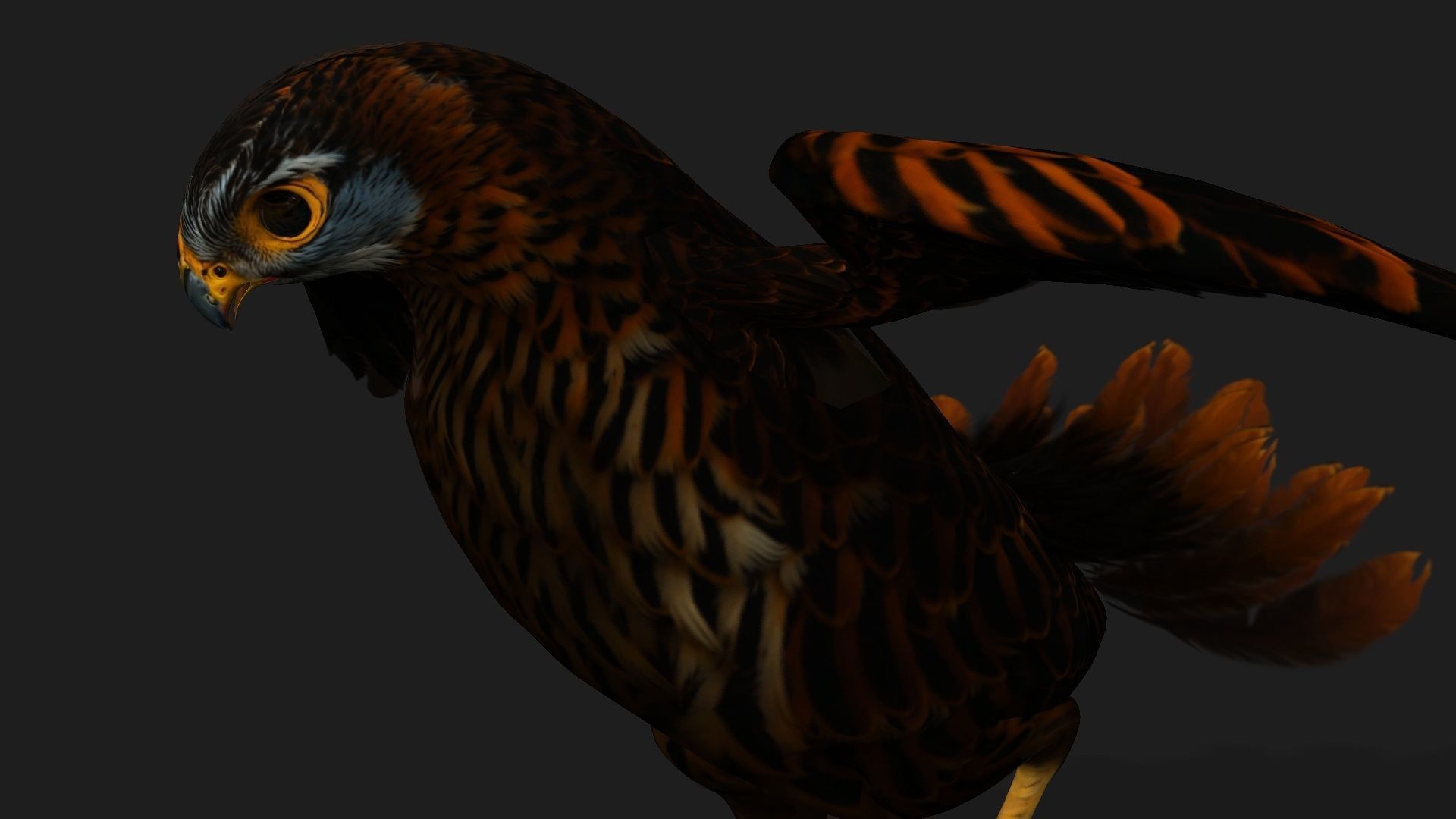 Kestrel B9 Low-poly 3D model_13